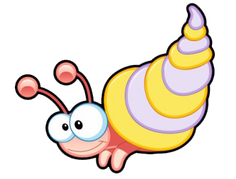 coquillage