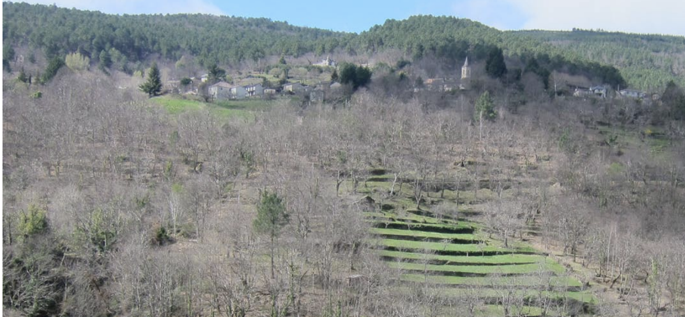 saintgermaindecalberte